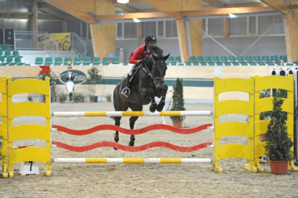 Alaszticsaliz Charneval Bw04 Csi2Racino Chorsesportsphoto Eu  Jpg 3C3E3F79
